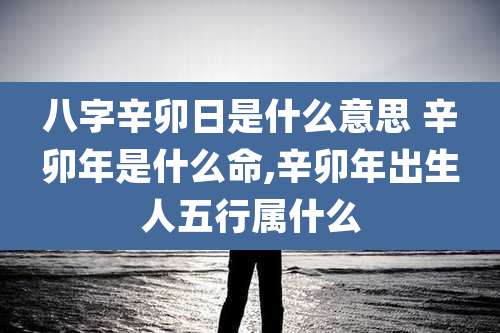 八字辛卯日是什么意思 辛卯年是什么命,辛卯年出生人五行属什么