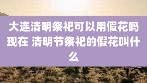 大连清明祭祀可以用假花吗现在 清明节祭祀的假花叫什么