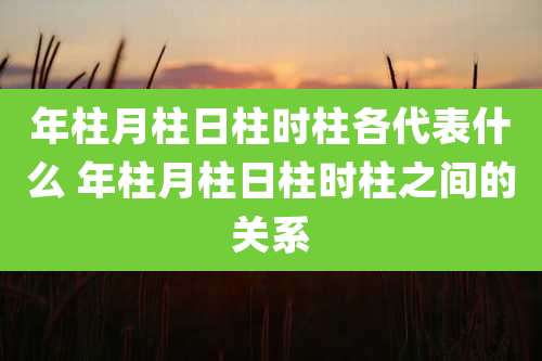 年柱月柱日柱时柱各代表什么 年柱月柱日柱时柱之间的关系