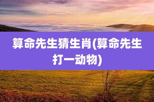 算命先生猜生肖(算命先生打一动物)