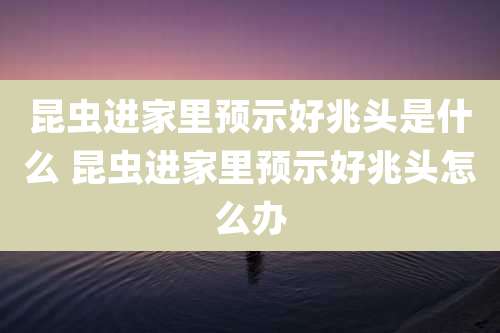 昆虫进家里预示好兆头是什么 昆虫进家里预示好兆头怎么办