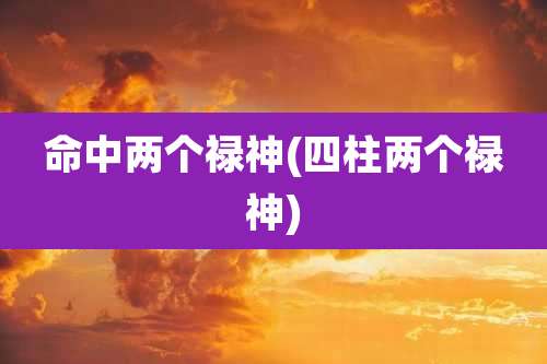 命中两个禄神(四柱两个禄神)