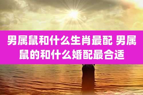 男属鼠和什么生肖最配 男属鼠的和什么婚配最合适