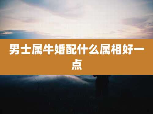 男士属牛婚配什么属相好一点