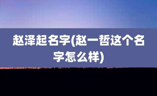 赵泽起名字(赵一哲这个名字怎么样)