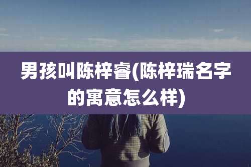 男孩叫陈梓睿(陈梓瑞名字的寓意怎么样)