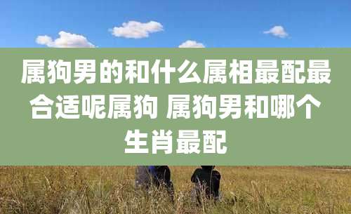 属狗男的和什么属相最配最合适呢属狗 属狗男和哪个生肖最配