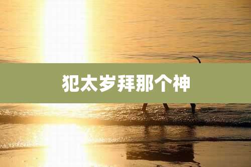 犯太岁拜那个神