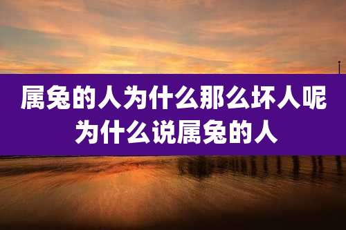 属兔的人为什么那么坏人呢 为什么说属兔的人
