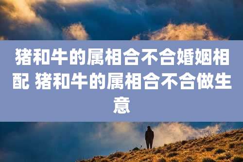 猪和牛的属相合不合婚姻相配 猪和牛的属相合不合做生意