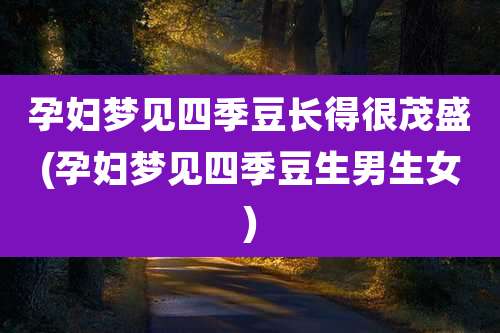 孕妇梦见四季豆长得很茂盛(孕妇梦见四季豆生男生女)