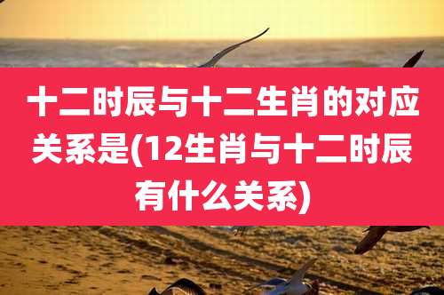 十二时辰与十二生肖的对应关系是(12生肖与十二时辰有什么关系)