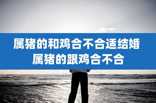 属猪的和鸡合不合适结婚 属猪的跟鸡合不合