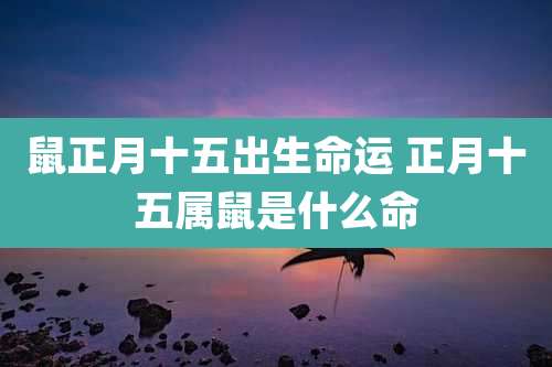 鼠正月十五出生命运 正月十五属鼠是什么命