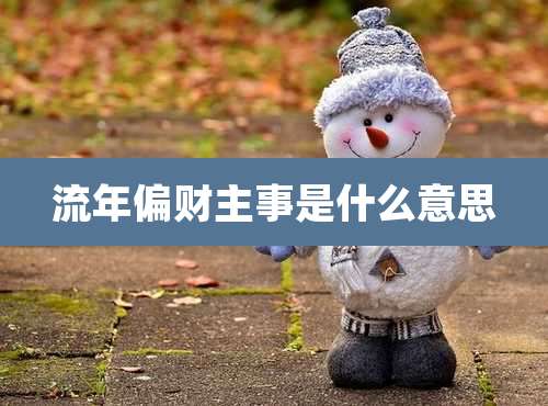 流年偏财主事是什么意思
