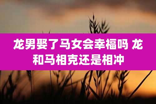 龙男娶了马女会幸福吗 龙和马相克还是相冲
