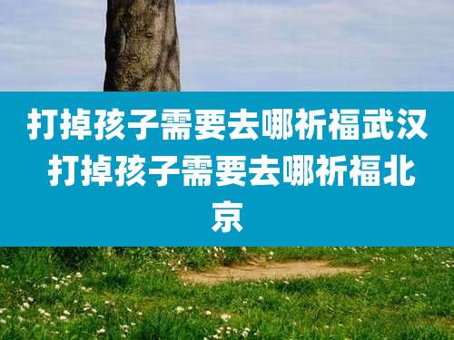 打掉孩子需要去哪祈福武汉 打掉孩子需要去哪祈福北京