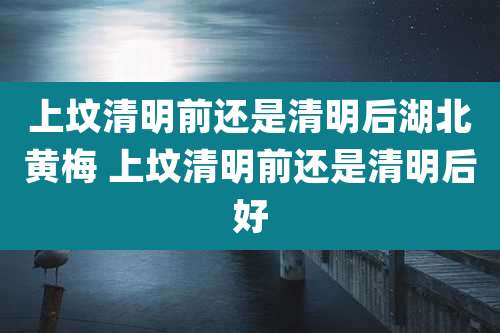 上坟清明前还是清明后湖北黄梅 上坟清明前还是清明后好