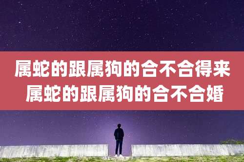 属蛇的跟属狗的合不合得来 属蛇的跟属狗的合不合婚