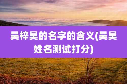 吴梓昊的名字的含义(吴昊姓名测试打分)