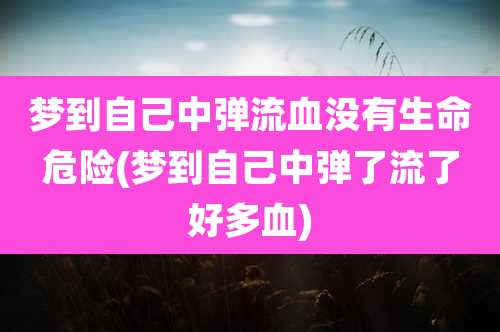 梦到自己中弹流血没有生命危险(梦到自己中弹了流了好多血)