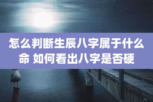 怎么判断生辰八字属于什么命 如何看出八字是否硬
