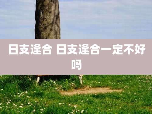 日支逢合 日支逢合一定不好吗