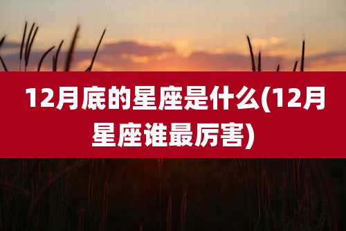 12月底的星座是什么(12月星座谁最厉害)