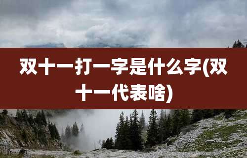 双十一打一字是什么字(双十一代表啥)