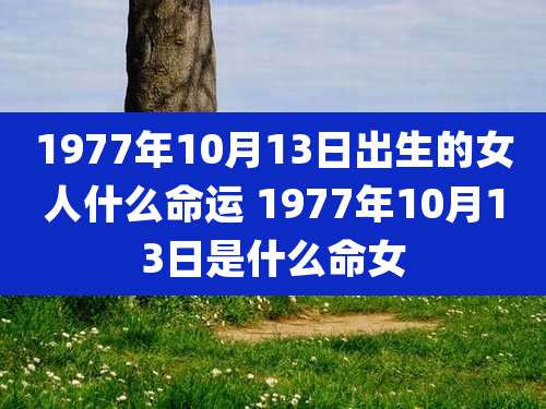 1977年10月13日出生的女人什么命运 1977年10月13日是什么命女