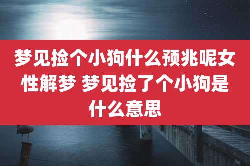 梦见捡个小狗什么预兆呢女性解梦 梦见捡了个小狗是什么意思