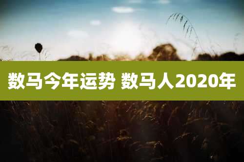 数马今年运势 数马人2020年