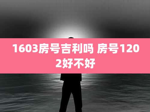 1603房号吉利吗 房号1202好不好