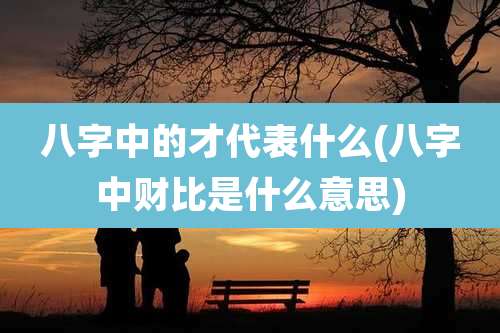 八字中的才代表什么(八字中财比是什么意思)
