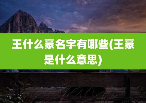 王什么豪名字有哪些(王豪是什么意思)