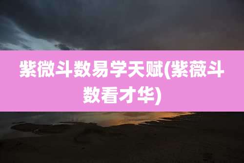 紫微斗数易学天赋(紫薇斗数看才华)