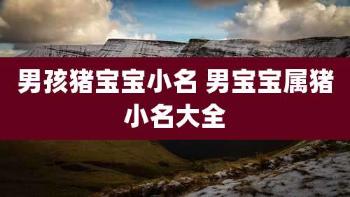 男孩猪宝宝小名 男宝宝属猪小名大全