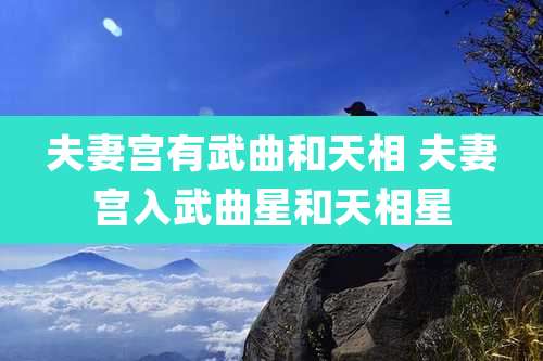 夫妻宫有武曲和天相 夫妻宫入武曲星和天相星