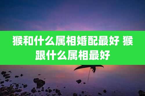 猴和什么属相婚配最好 猴跟什么属相最好