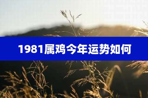 1981属鸡今年运势如何