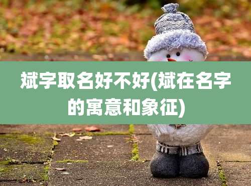 斌字取名好不好(斌在名字的寓意和象征)