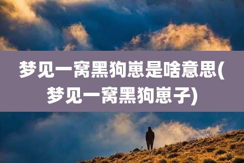 梦见一窝黑狗崽是啥意思(梦见一窝黑狗崽子)