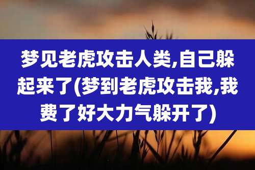 梦见老虎攻击人类,自己躲起来了(梦到老虎攻击我,我费了好大力气躲开了)