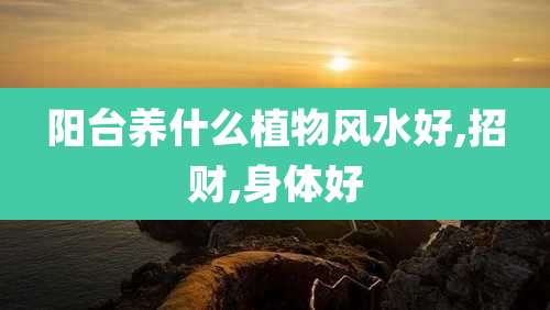 阳台养什么植物风水好,招财,身体好