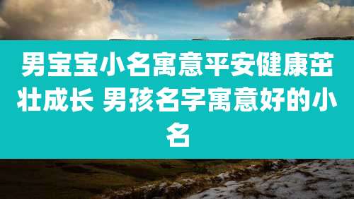 男宝宝小名寓意平安健康茁壮成长 男孩名字寓意好的小名