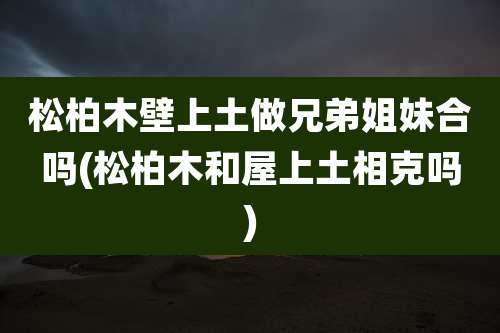 松柏木壁上土做兄弟姐妹合吗(松柏木和屋上土相克吗)