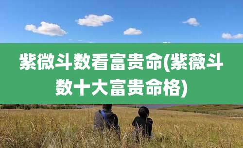 紫微斗数看富贵命(紫薇斗数十大富贵命格)