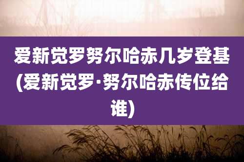 爱新觉罗努尔哈赤几岁登基(爱新觉罗·努尔哈赤传位给谁)