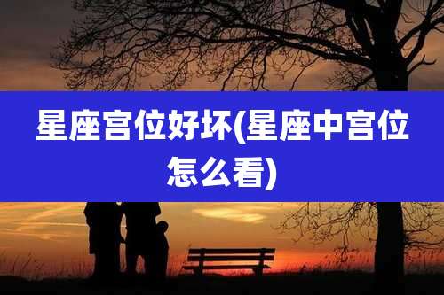 星座宫位好坏(星座中宫位怎么看)