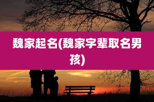 魏家起名(魏家字辈取名男孩)